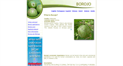 Desktop Screenshot of borojo.net