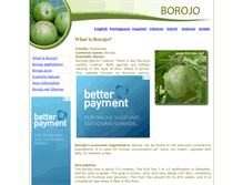 Tablet Screenshot of borojo.net